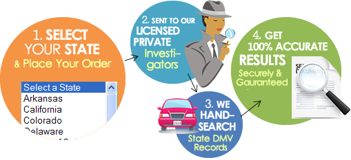 License Plate Search Software Free