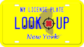 New York license plate search