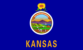 Kansas Criminal Records Search