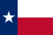 Texas Criminal Records Search