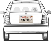 license plate number search